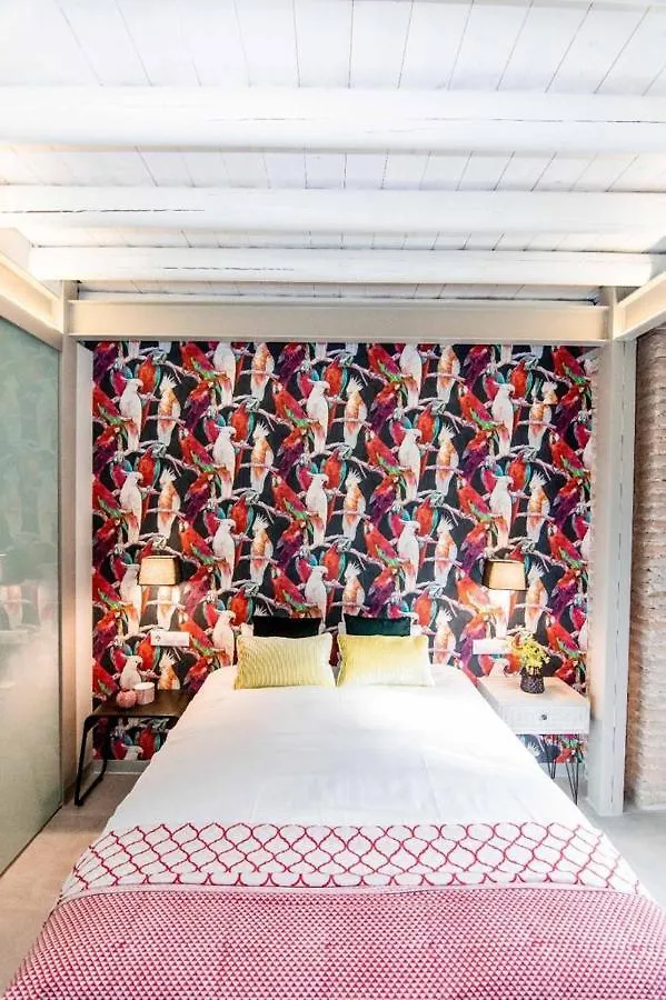 Elvira 50 Aparthotel Granada Spagna